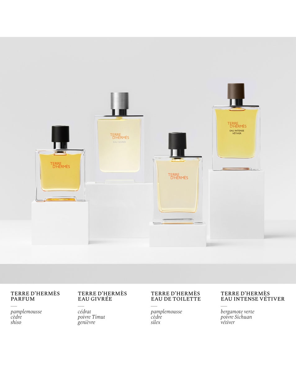 HERMÈS TERRE D'HERMÈS RECHARGE PARFUM 125 ML 4