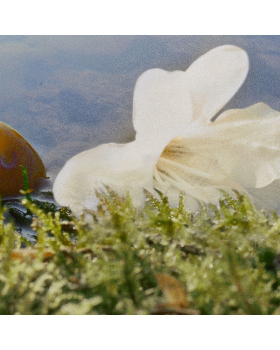 CHLOÉ NOMADE EAU DE PARFUM 30 ML 4