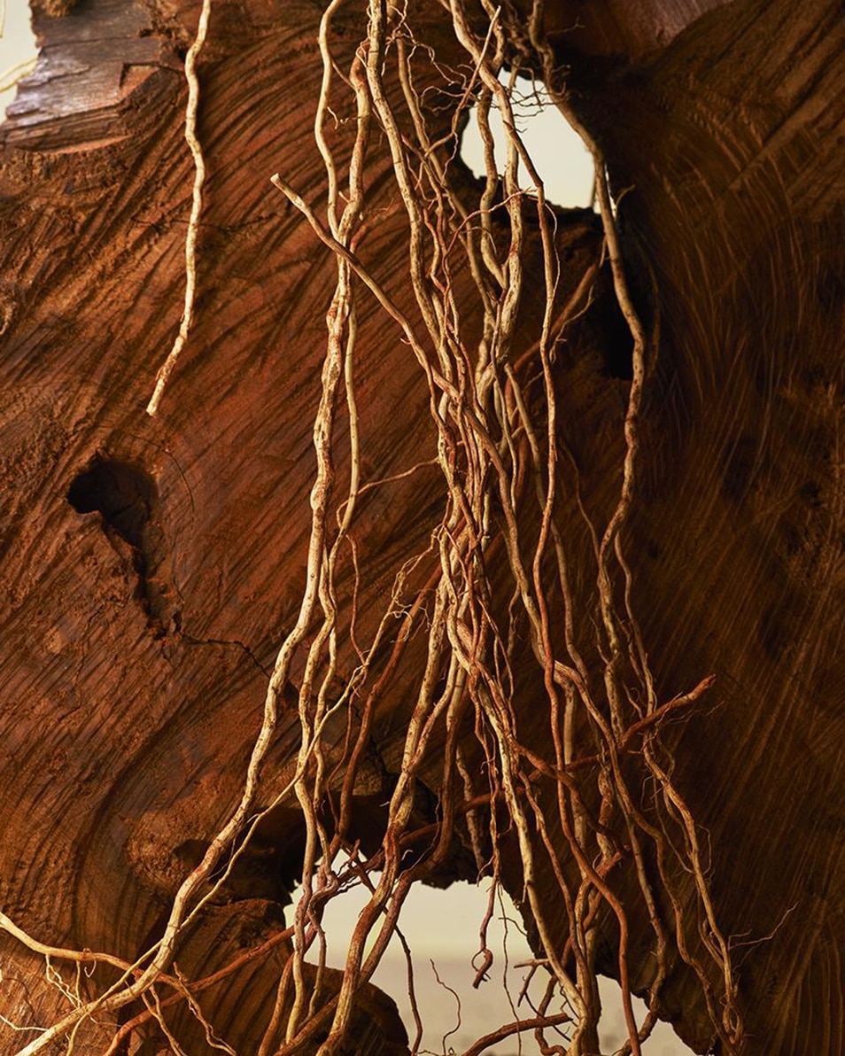 BVLGARI MAN TERRAE ESSENCE EAU DE PARFUM 60 ML 5