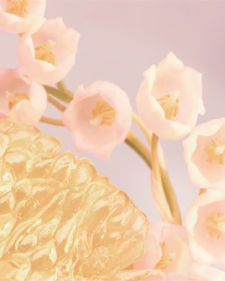 BVLGARI ROSE GOLDEA BLOSSOM DELIGHT EAU DE TOILETTE 50 ML 5