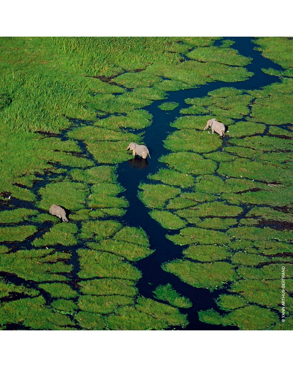 GUERLAIN AQUA ALLEGORIA GRANADA SALVIA - EAU DE TOILETTE 75 ML 5