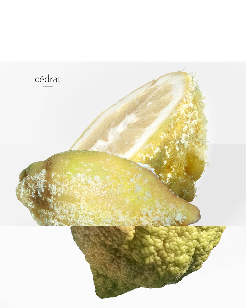 HERMÈS TERRE D'HERMÈS EAU GIVRÉE, EAU DE PARFUM 100 ML 5