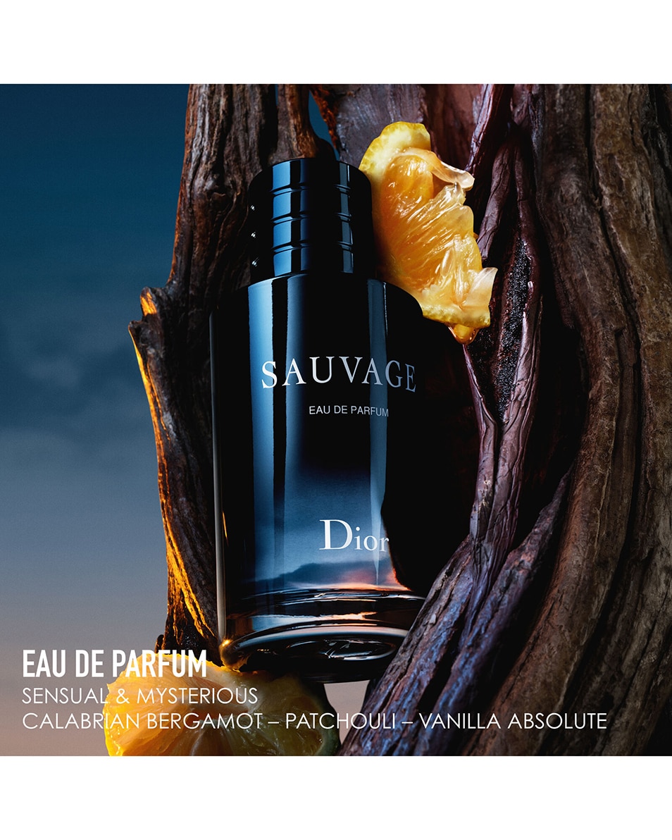 Eau Sauvage Parfum Sauvage Dior Ici Paris Dior Sauvage Eau De