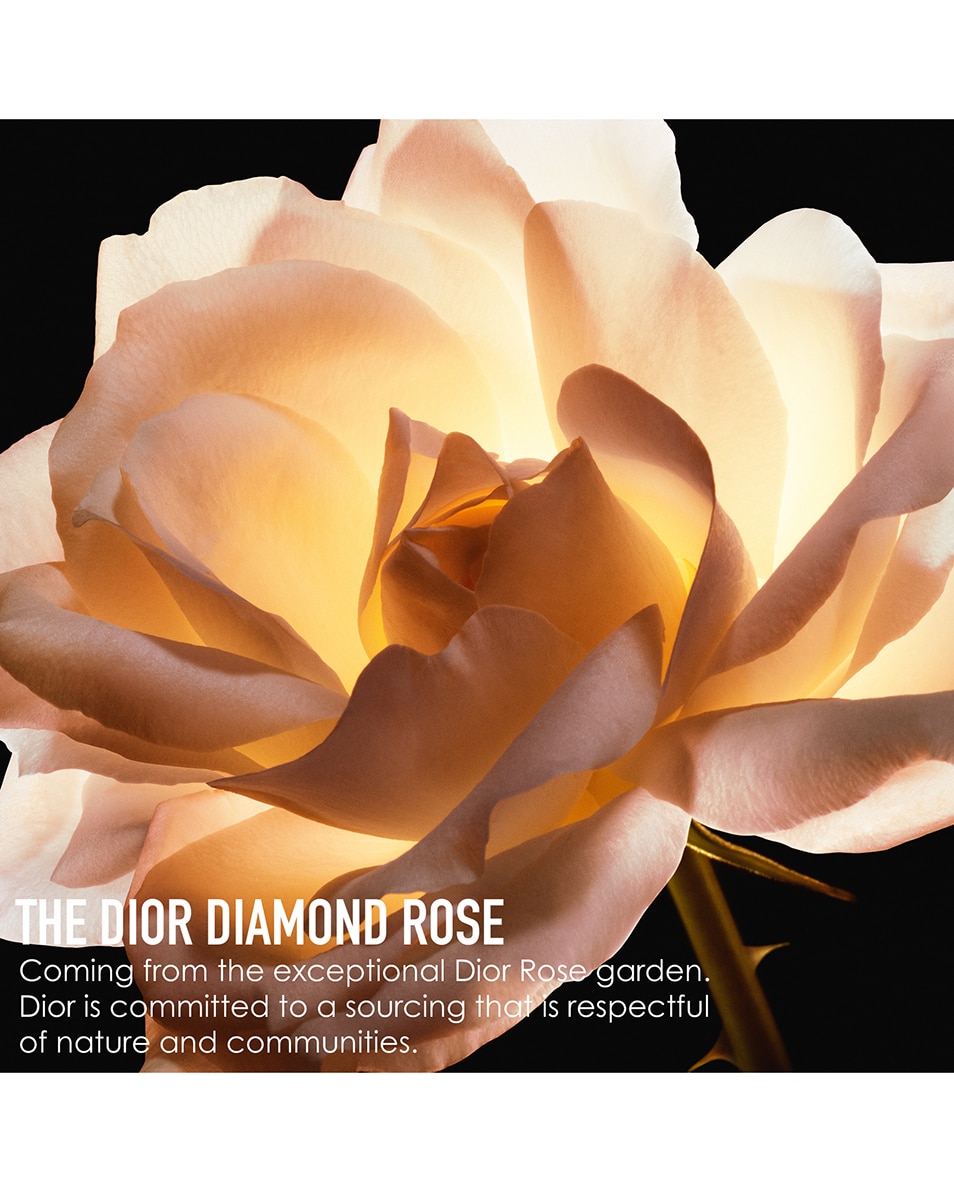 DIOR DIOR PRESTIGE LA CRÈME TEXTURE FINE 50 ML