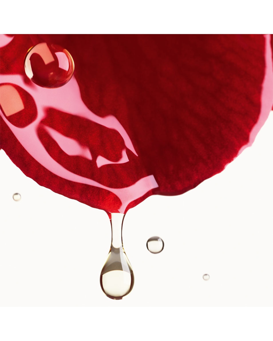 REPULPE – LISSE – PROTÈGE