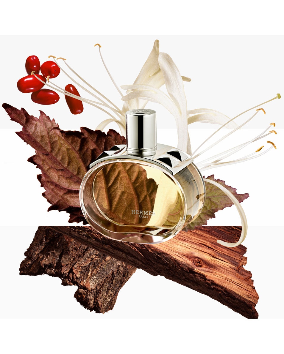 HERMÈS Barénia brume parfumée pour cheveux 30 ML 5