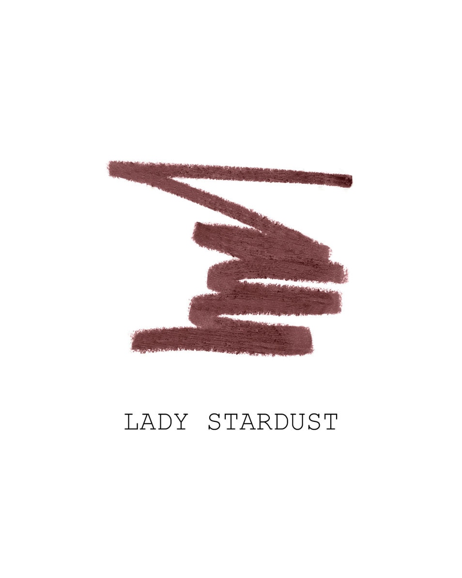 PAT MCGRATH LEGENDARY LONGWEAR LIP LINER - Crayon à lèvres Lady Stardust 5