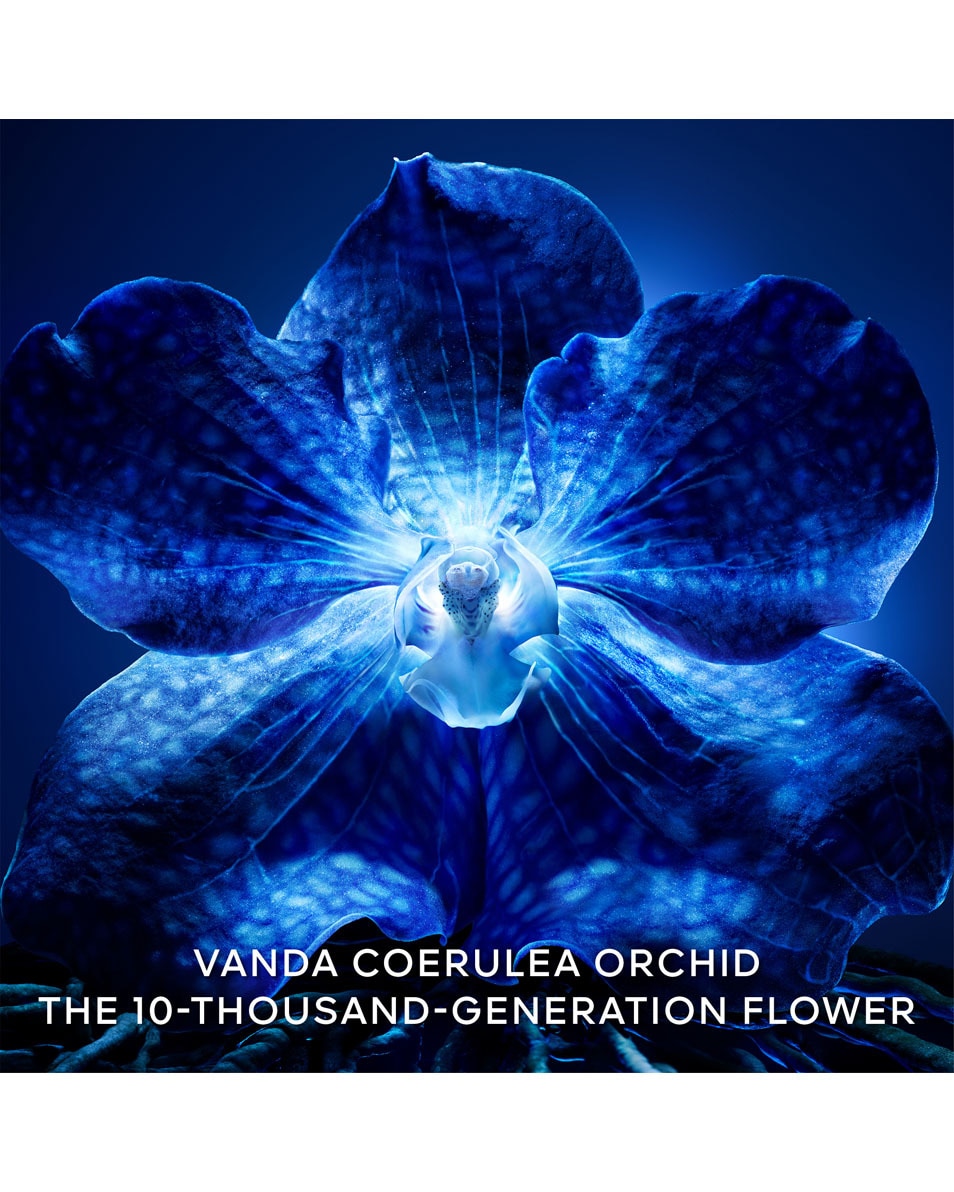 GUERLAIN ORCHIDÉE IMPÉRIALE LA CRÈME LÉGÈRE DE LONGÉVITÉ 50 ML 5