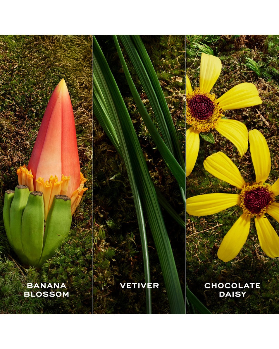 MARC JACOBS Daisy Wild Eau So Extra Eau de parfum 30 ML 5