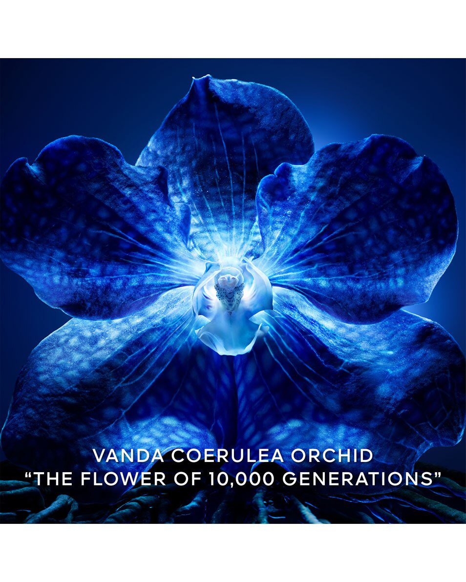 GUERLAIN Orchidée Impériale Le Concentré de Longévité 30 ML 5