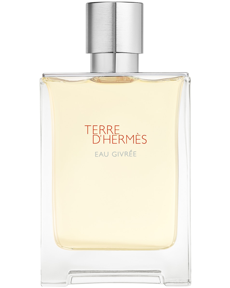 HERMÈS TERRE D'HERMÈS EAU GIVRÉE, EAU DE PARFUM 100 ML