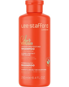 Shampoo Shampoo