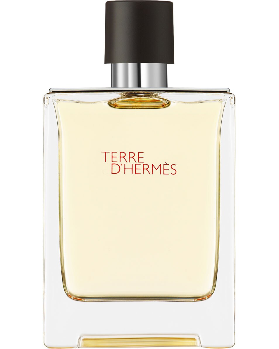 HERMÈS TERRE D'HERMES EAU DE TOILETTE 100 ML