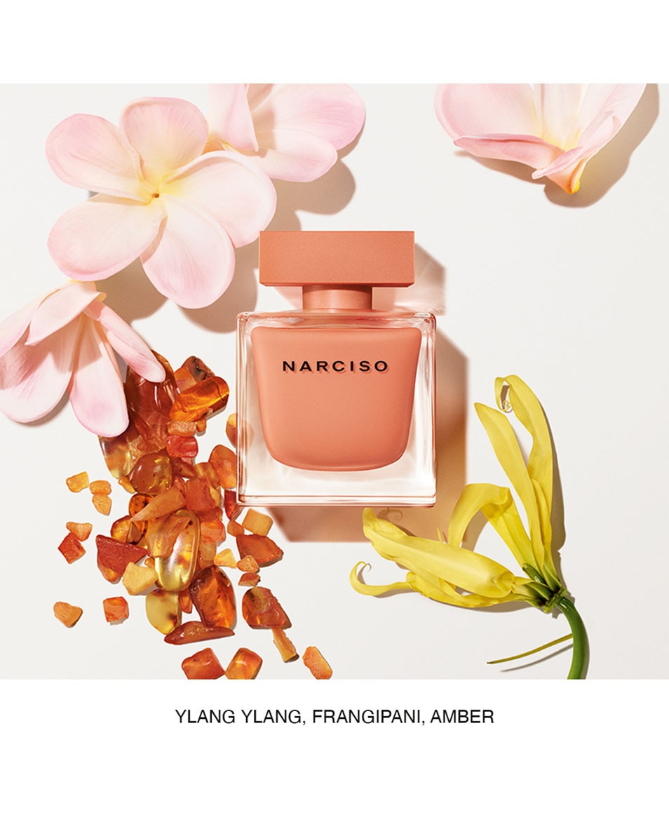 NARCISO RODRIGUEZ AMBREE EAU DE PARFUM 30 ML 2