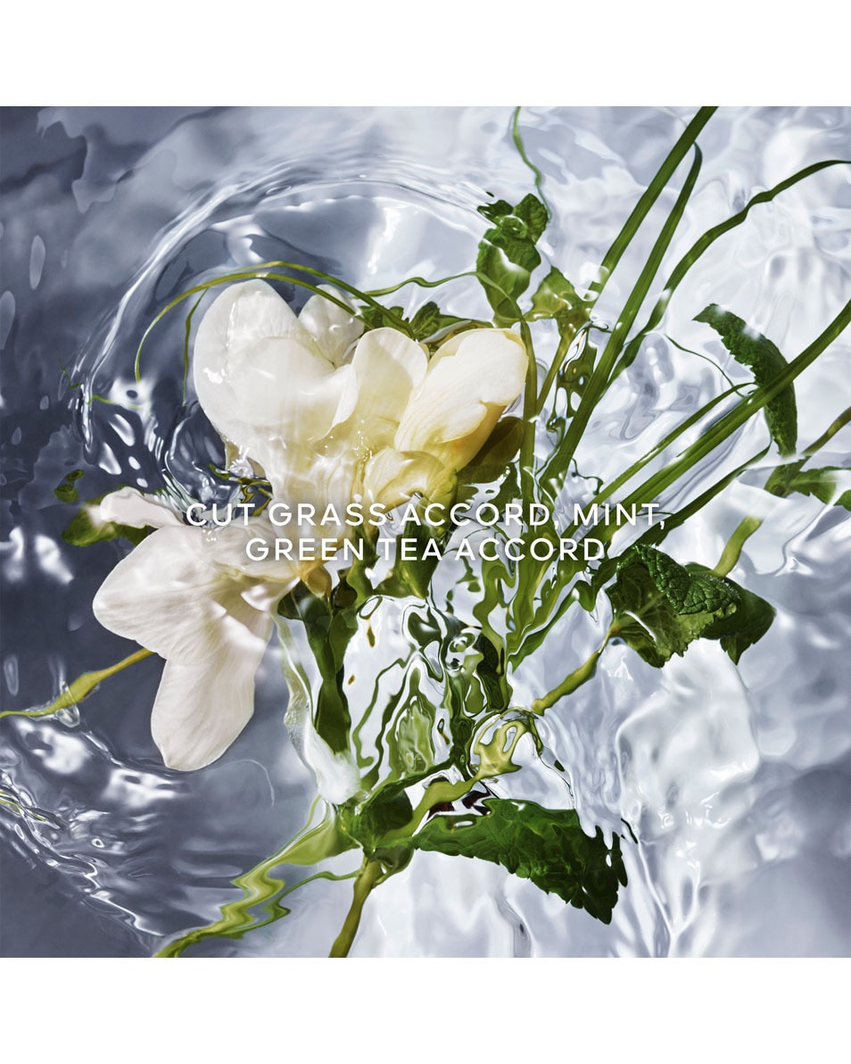 GUERLAIN AQUA ALLEGORIA HERBA FRESCA - EAU DE TOILETTE 125 ML 2