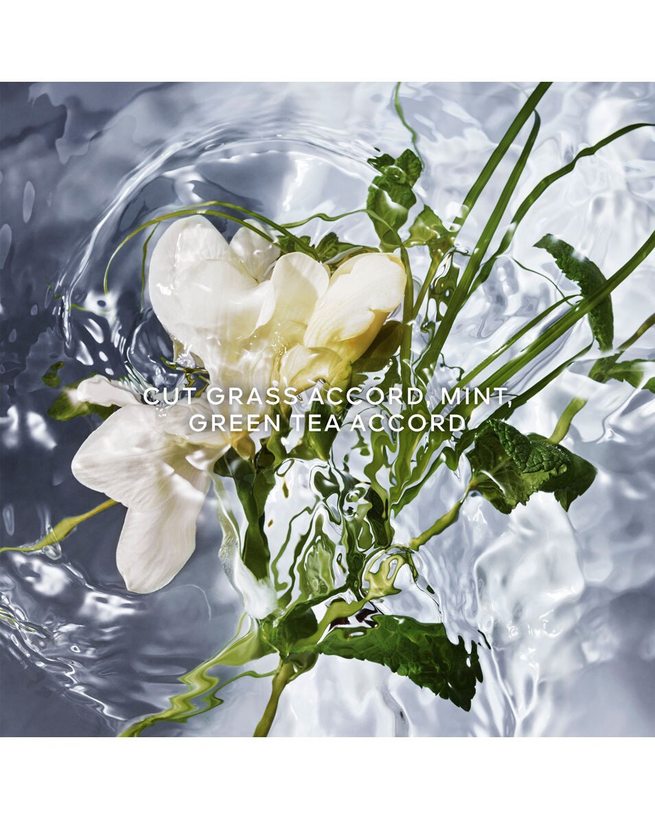 GUERLAIN AQUA ALLEGORIA HERBA FRESCA - RECHARGE EAU DE TOILETTE 200 ML 2