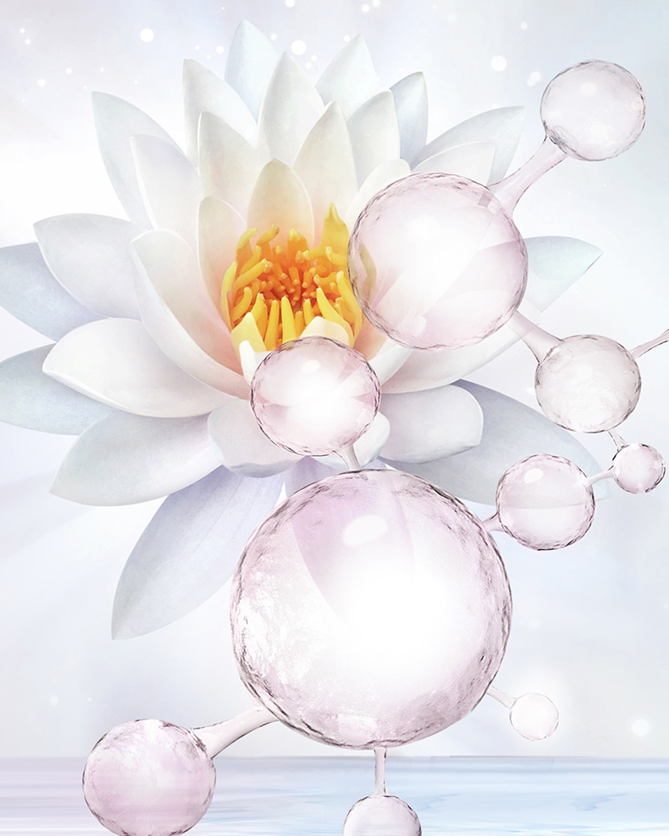 TONIQUE HYDRATANT - PEAU NORMALE/MIXTE