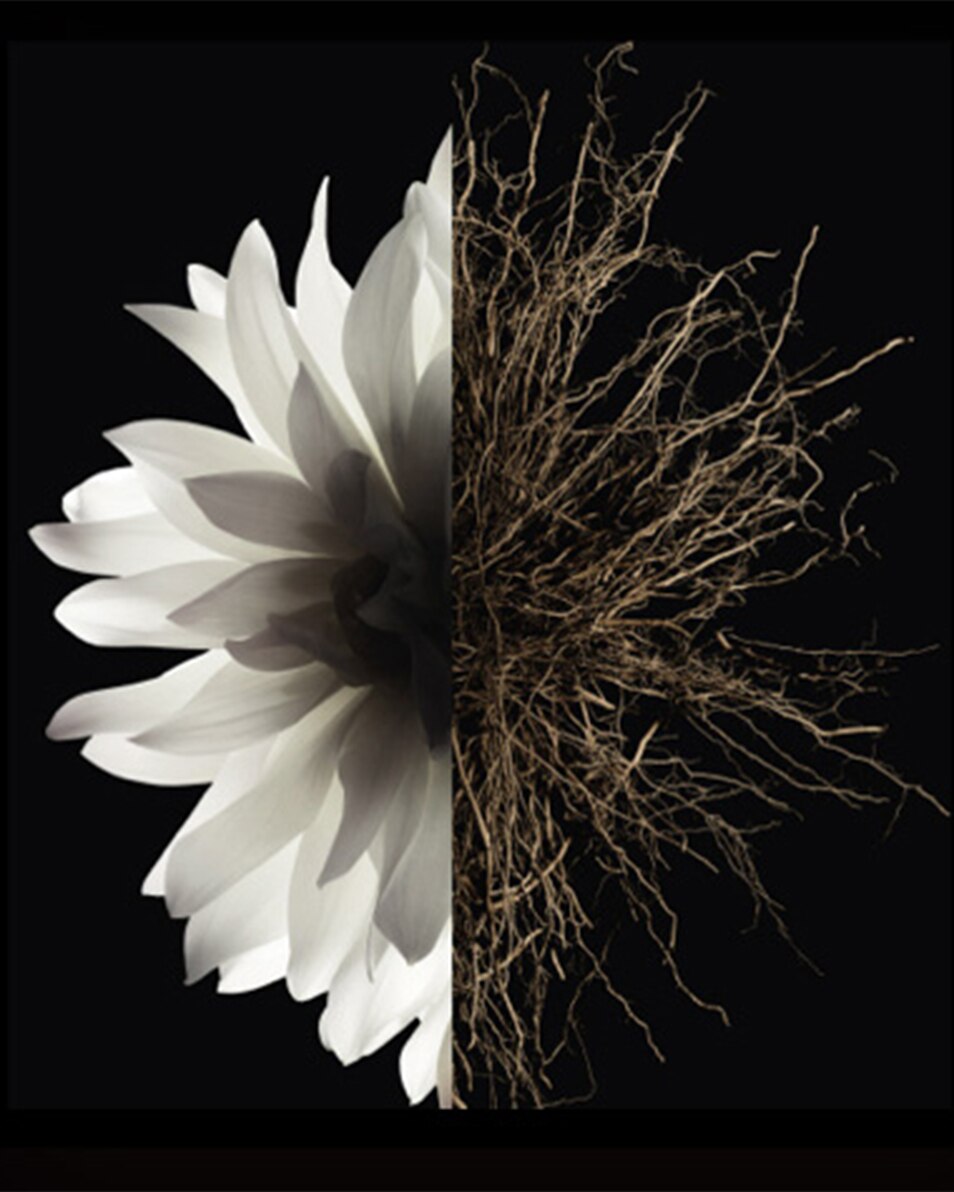 GIVENCHY L'INTERDIT LE LAIT CORPS 200 ML