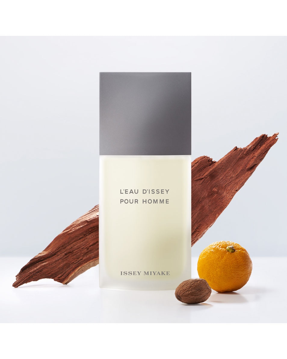 ISSEY MIYAKE L'EAU D'ISSEY POUR HOMME EAU DE TOILETTE SPRAY 75 ML 2