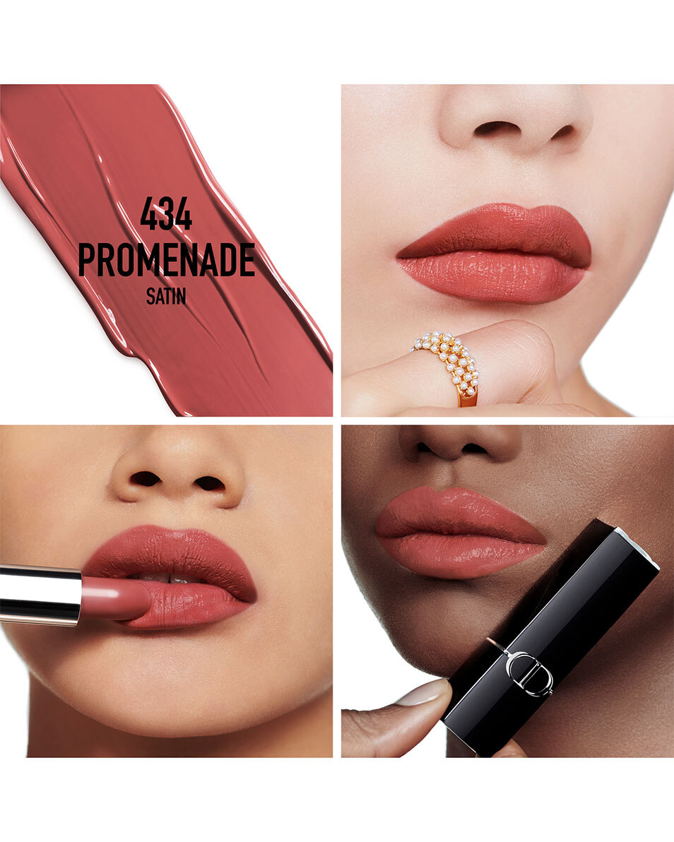 DIOR Rouge Dior Rouge à lèvres - confort et longue tenue SATIN - 434 PROMENADE 2