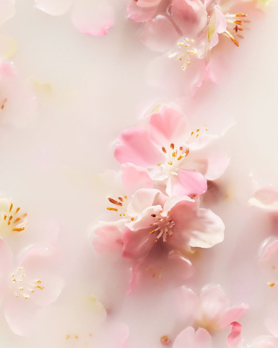 RITUALS The Ritual of Sakura Lotion en mousse pour le corps 150 ML 2