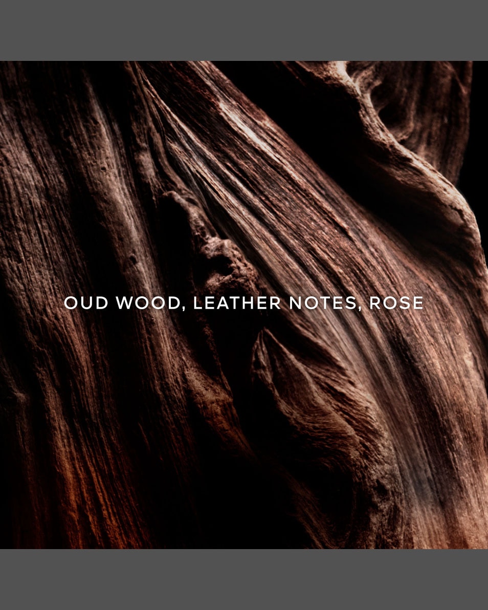 GUERLAIN ABSOLUS ALLEGORIA Absolus Allegoria Oud Essentiel Eau de Parfum 125 ML 2