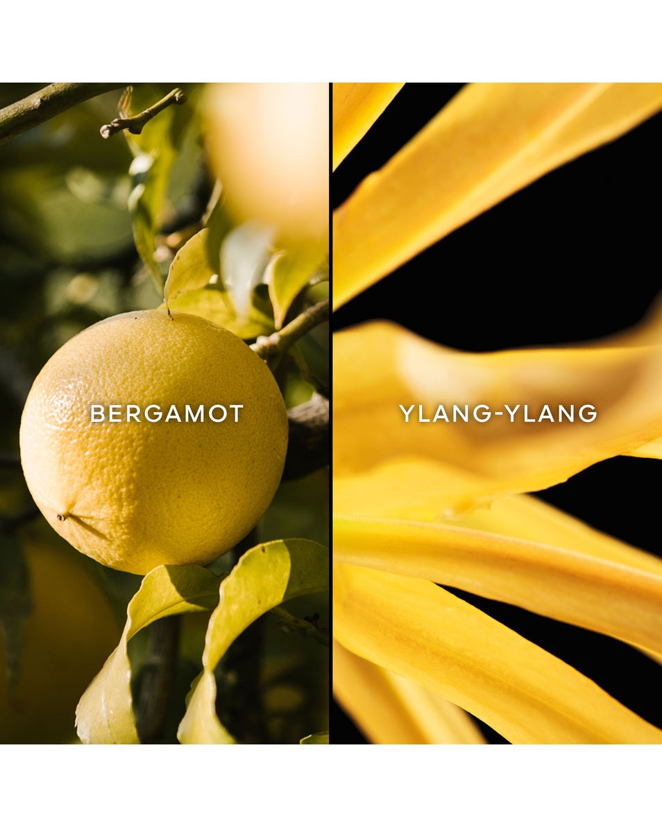 GUERLAIN Terracotta Eau de Toilette 75 ML 2