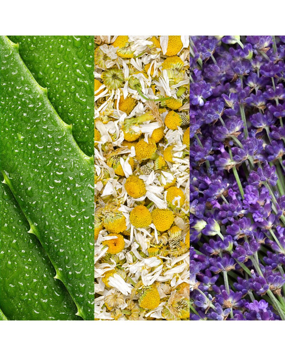 SPRAY VISAGE À L’ALOÈS, À LA CAMOMILLE ET À LA LAVANDE 59ML