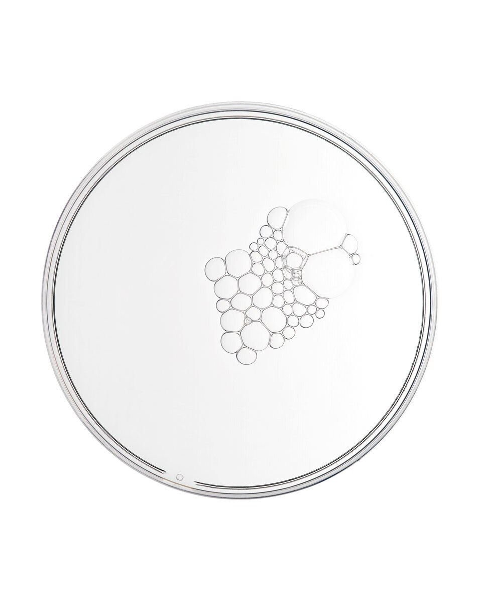 Essence Multi-Active