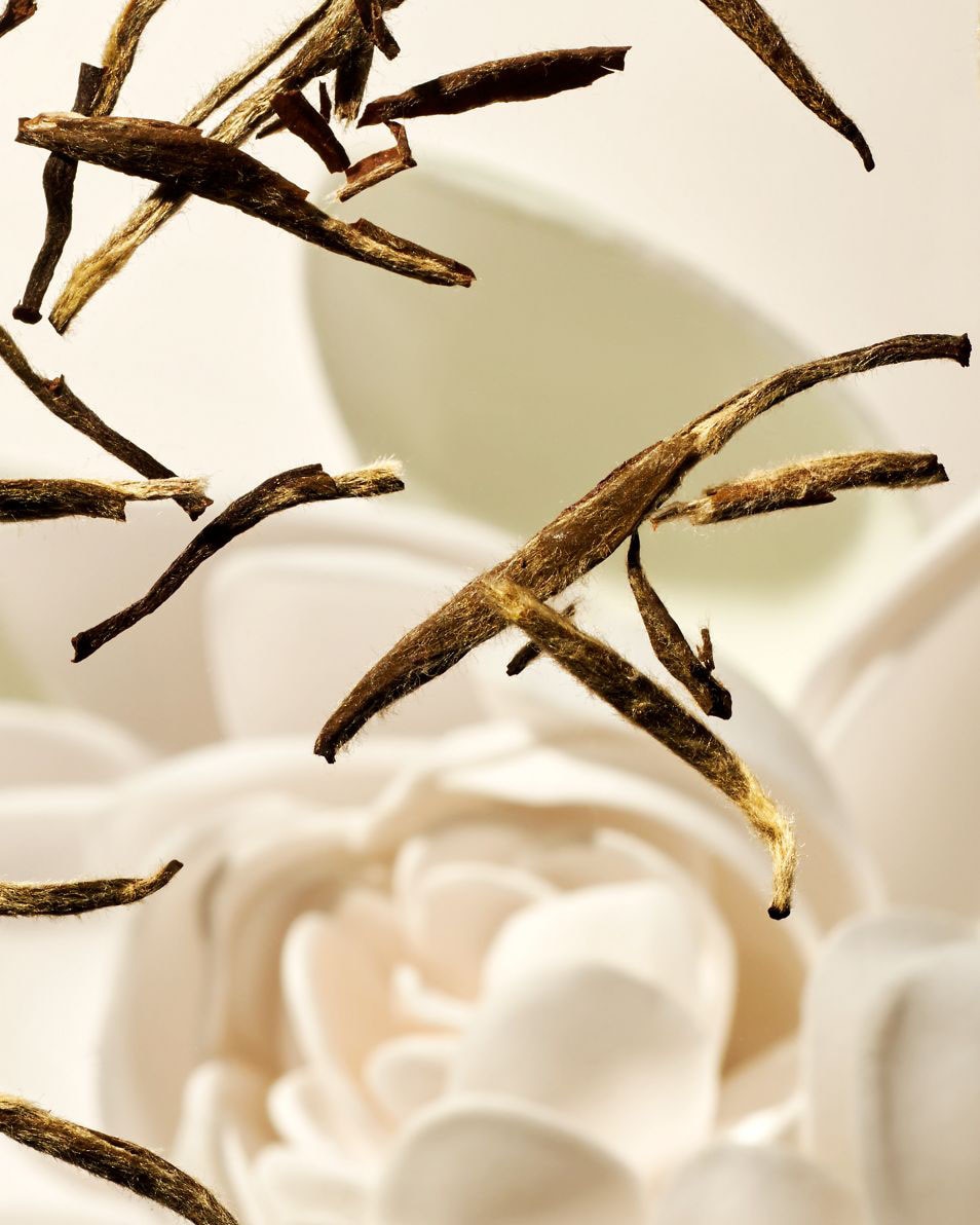 lotion en mousse pour le corps