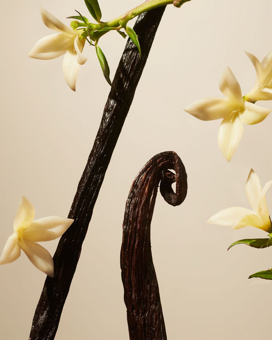 RITUALS Private Collection Suede Vanilla bougie parfumée 360 G 2