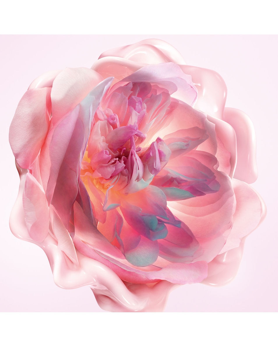 DIOR Miss Dior Melt-In Hand Cream Crème hydratante parfumée pour les mains 50 ML 2