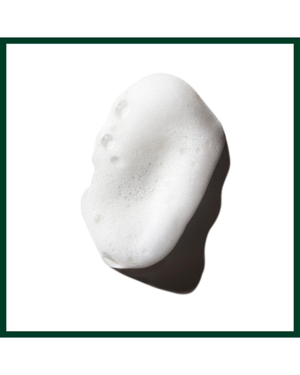 AVEDA Phomollient Styling Foam Mousse coiffante 200 ML 2