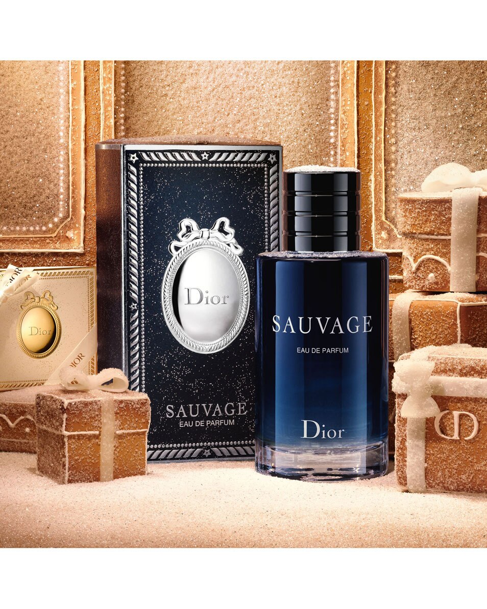 DIOR Sauvage Eau de Parfum - Limited Edition Men's Fragrance Parfum homme - Épices & absolu vanille - édition limitée 100 ML 2