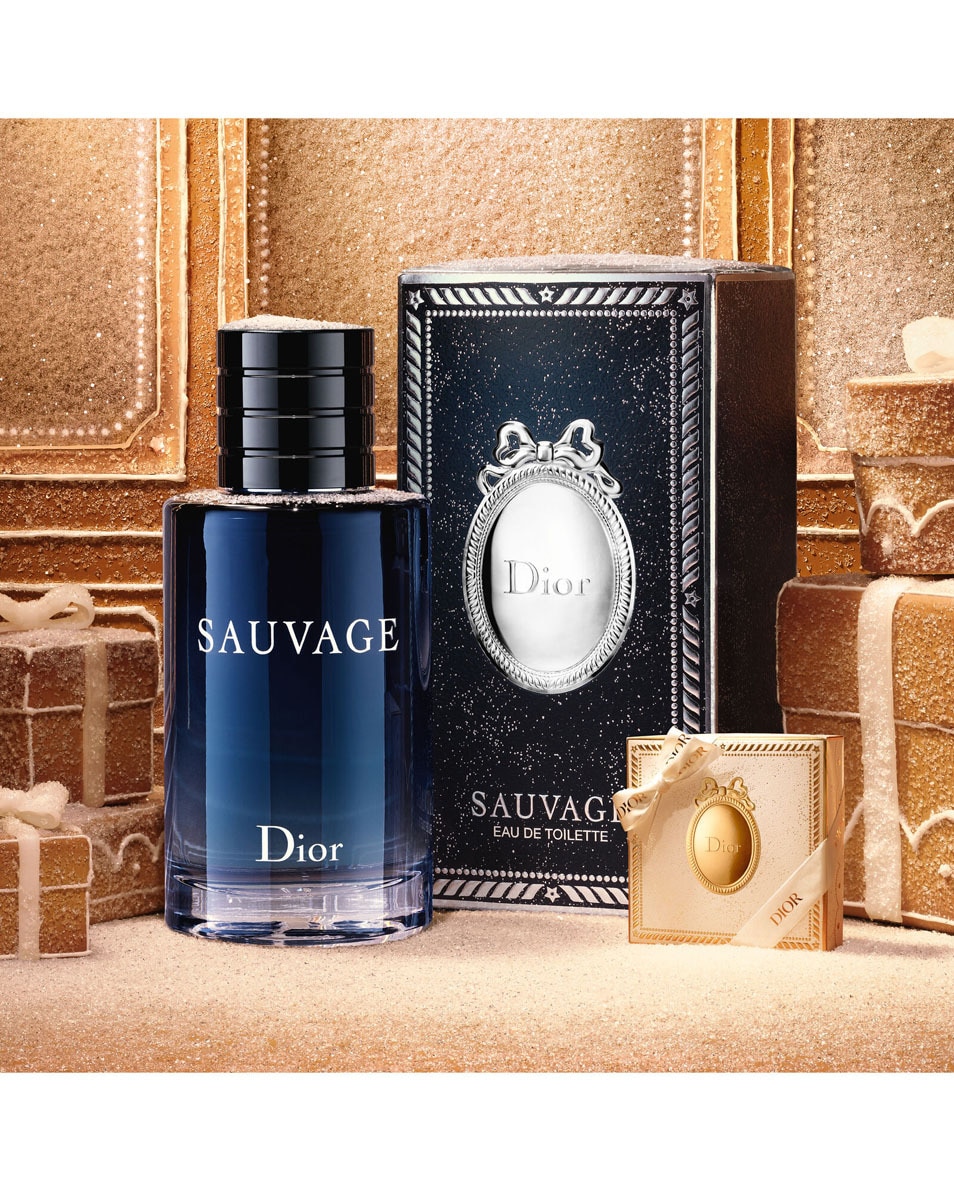 DIOR Sauvage Eau de Toilette - Limited Edition Men's Fragrance Parfum homme - Notes épicées & hespéridées - édition limitée 100 ML 2
