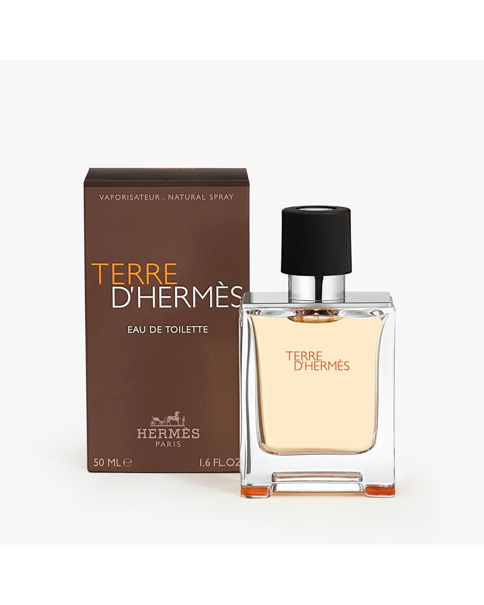 HERMÈS TERRE D'HERMÈS EAU DE TOILETTE VAPORISATEUR 50 ML 2