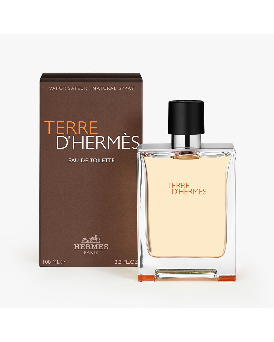HERMÈS TERRE D'HERMES EAU DE TOILETTE 100 ML 2