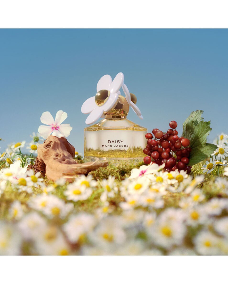 MARC JACOBS Daisy Eau de Toilette 100 ML 2