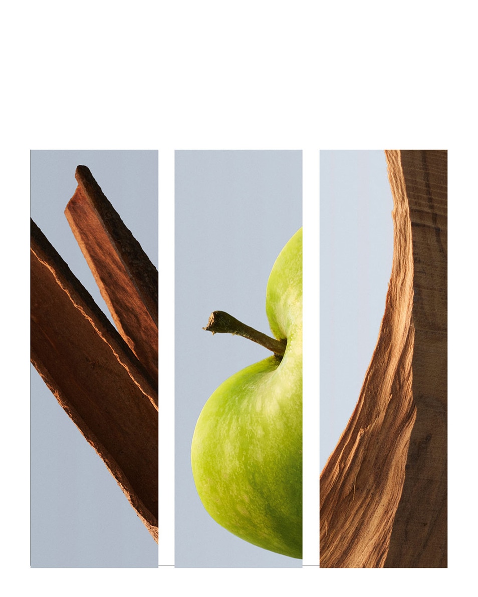 HUGO BOSS BOTTLED EAU DE TOILETTE 100 ML 2