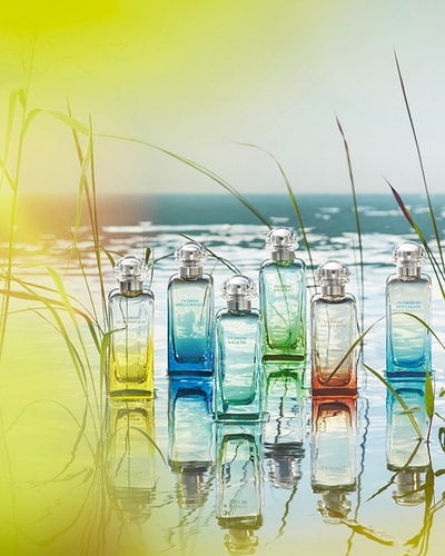 HERMÈS UN JARDIN SUR LE TOIT EAU DE TOILETTE VAPORISATEUR 50 ML