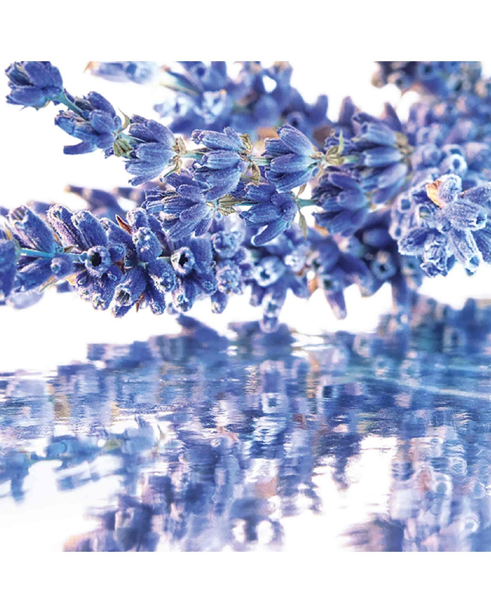 GUERLAIN MON GUERLAIN EAU DE PARFUM 30 ML 2